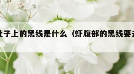 虾肚子上的黑线是什么（虾腹部的黑线要去掉吗）