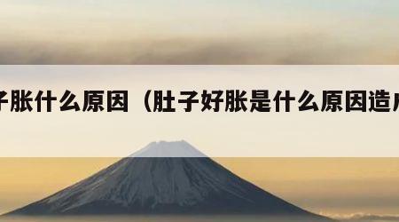 肚子胀什么原因（肚子好胀是什么原因造成的）