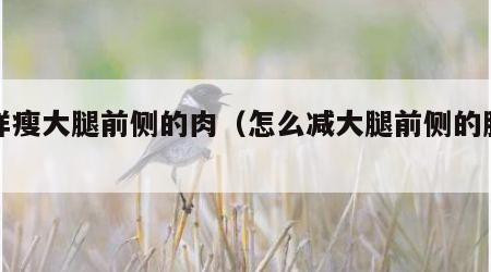 怎样瘦大腿前侧的肉（怎么减大腿前侧的肥肉）