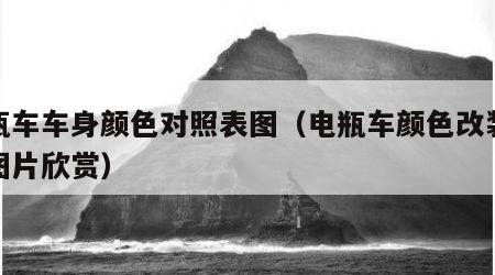 电瓶车车身颜色对照表图（电瓶车颜色改装大全图片欣赏）