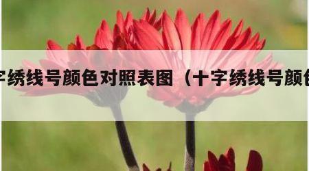 十字绣线号颜色对照表图（十字绣线号颜色大全）
