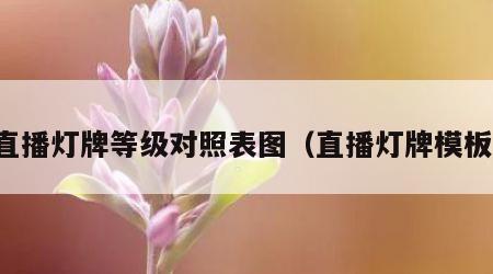 直播灯牌等级对照表图（直播灯牌模板）