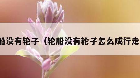 轮船没有轮子（轮船没有轮子怎么成行走的）
