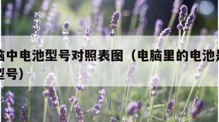电脑中电池型号对照表图（电脑里的电池是什么型号）