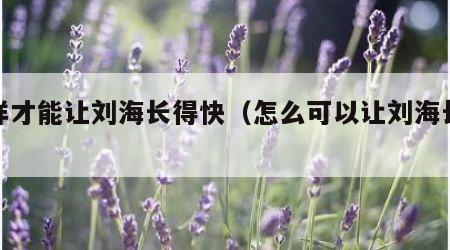 怎样才能让刘海长得快（怎么可以让刘海长得快）