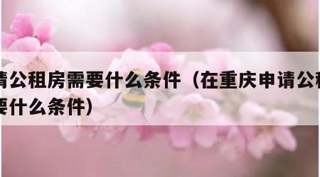 申请公租房需要什么条件（在重庆申请公租房需要什么条件）