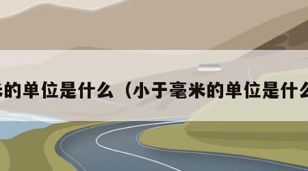 米的单位是什么（小于毫米的单位是什么）