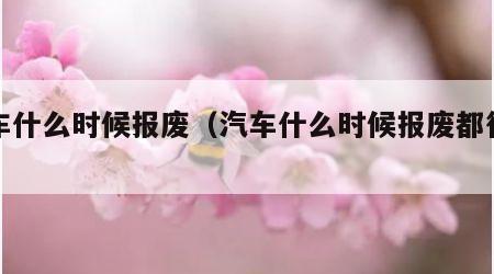 汽车什么时候报废（汽车什么时候报废都行吗）