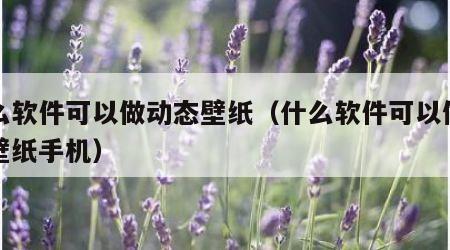 什么软件可以做动态壁纸（什么软件可以做动态壁纸手机）