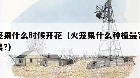火笼果什么时候开花（火笼果什么种植最容易结果?）