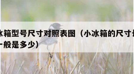 小冰箱型号尺寸对照表图（小冰箱的尺寸长宽高一般是多少）