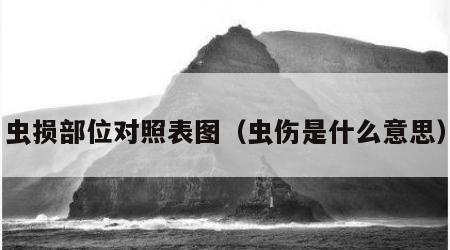 虫损部位对照表图（虫伤是什么意思）
