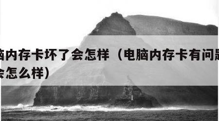电脑内存卡坏了会怎样（电脑内存卡有问题电脑会怎么样）