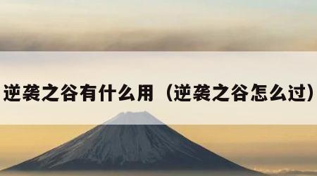 逆袭之谷有什么用（逆袭之谷怎么过）