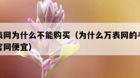 万表网为什么不能购买（为什么万表网的手表比官网便宜）