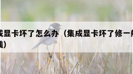 集成显卡坏了怎么办（集成显卡坏了修一般多少钱）