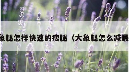 大象腿怎样快速的瘦腿（大象腿怎么减最快）