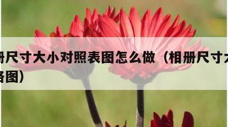 相册尺寸大小对照表图怎么做（相册尺寸大小规格图）