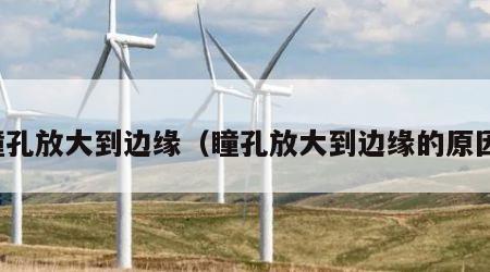 瞳孔放大到边缘（瞳孔放大到边缘的原因）
