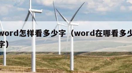 word怎样看多少字（word在哪看多少字）