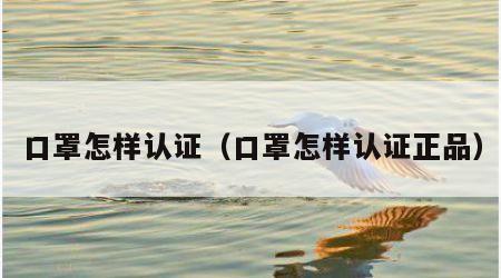 口罩怎样认证（口罩怎样认证正品）