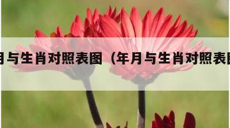 年月与生肖对照表图（年月与生肖对照表图片）