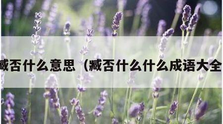 臧否什么意思（臧否什么什么成语大全）