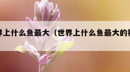 世界上什么鱼最大（世界上什么鱼最大的视频）