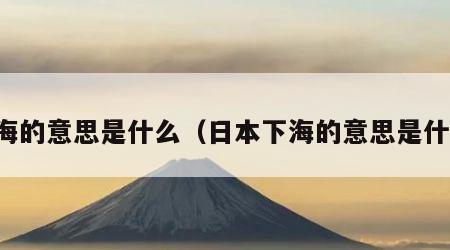 下海的意思是什么（日本下海的意思是什么）