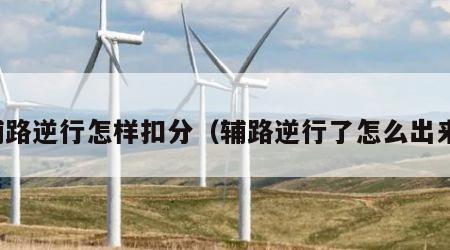 辅路逆行怎样扣分（辅路逆行了怎么出来）