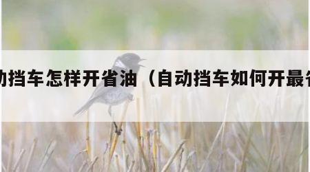 自动挡车怎样开省油（自动挡车如何开最省油）