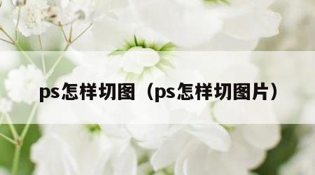 ps怎样切图（ps怎样切图片）