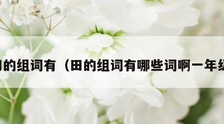 田的组词有（田的组词有哪些词啊一年级）