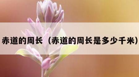 赤道的周长（赤道的周长是多少千米）