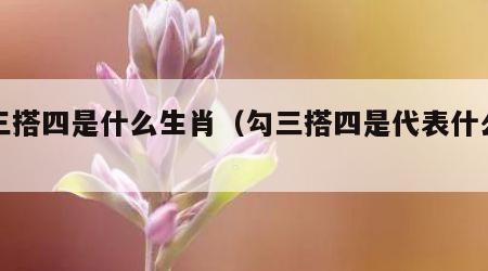 勾三搭四是什么生肖（勾三搭四是代表什么生肖）