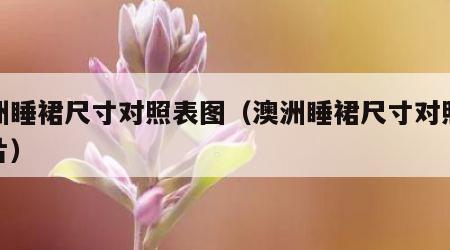 澳洲睡裙尺寸对照表图（澳洲睡裙尺寸对照表图片）