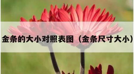 金条的大小对照表图（金条尺寸大小）
