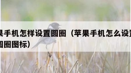 苹果手机怎样设置圆圈（苹果手机怎么设置一个圆圈图标）
