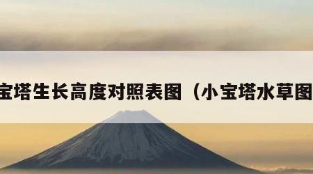 小宝塔生长高度对照表图（小宝塔水草图片）