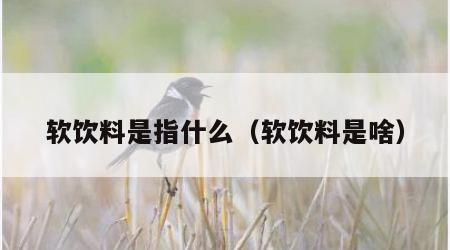 软饮料是指什么（软饮料是啥）