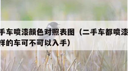 二手车喷漆颜色对照表图（二手车都喷漆 了这样的车可不可以入手）