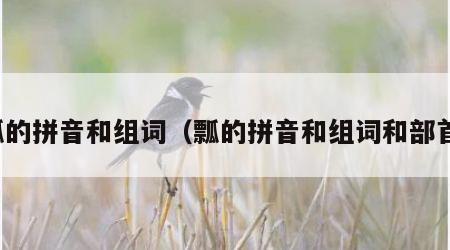 瓢的拼音和组词（瓢的拼音和组词和部首）