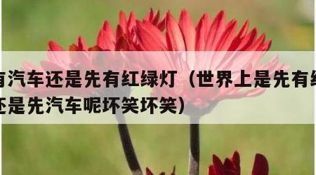 先有汽车还是先有红绿灯（世界上是先有红绿灯还是先汽车呢坏笑坏笑）
