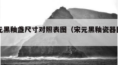 宋元黑釉盏尺寸对照表图（宋元黑釉瓷器图片）