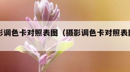 摄影调色卡对照表图（摄影调色卡对照表图片）