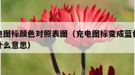 充电图标颜色对照表图（充电图标变成蓝色表示什么意思）