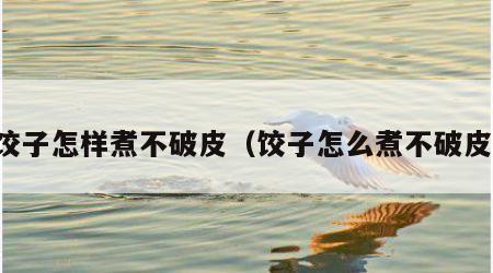 饺子怎样煮不破皮（饺子怎么煮不破皮）