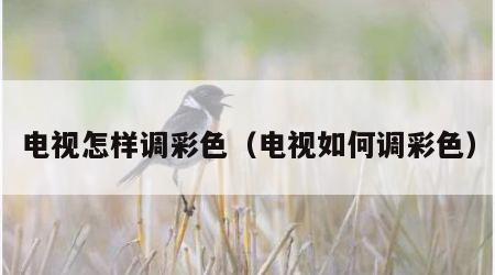 电视怎样调彩色（电视如何调彩色）