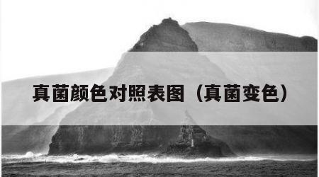 真菌颜色对照表图（真菌变色）