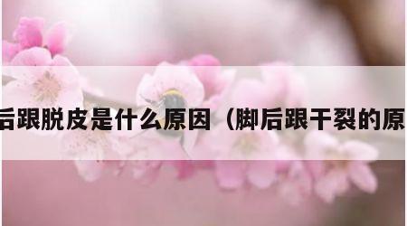 脚后跟脱皮是什么原因（脚后跟干裂的原因）